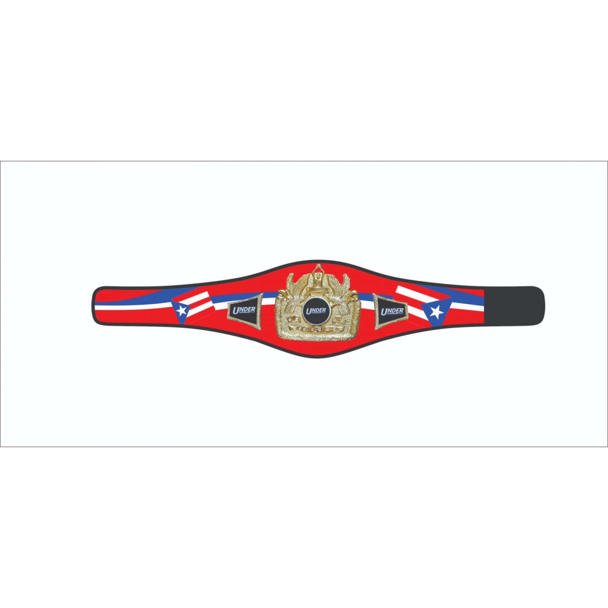 Championship Belts