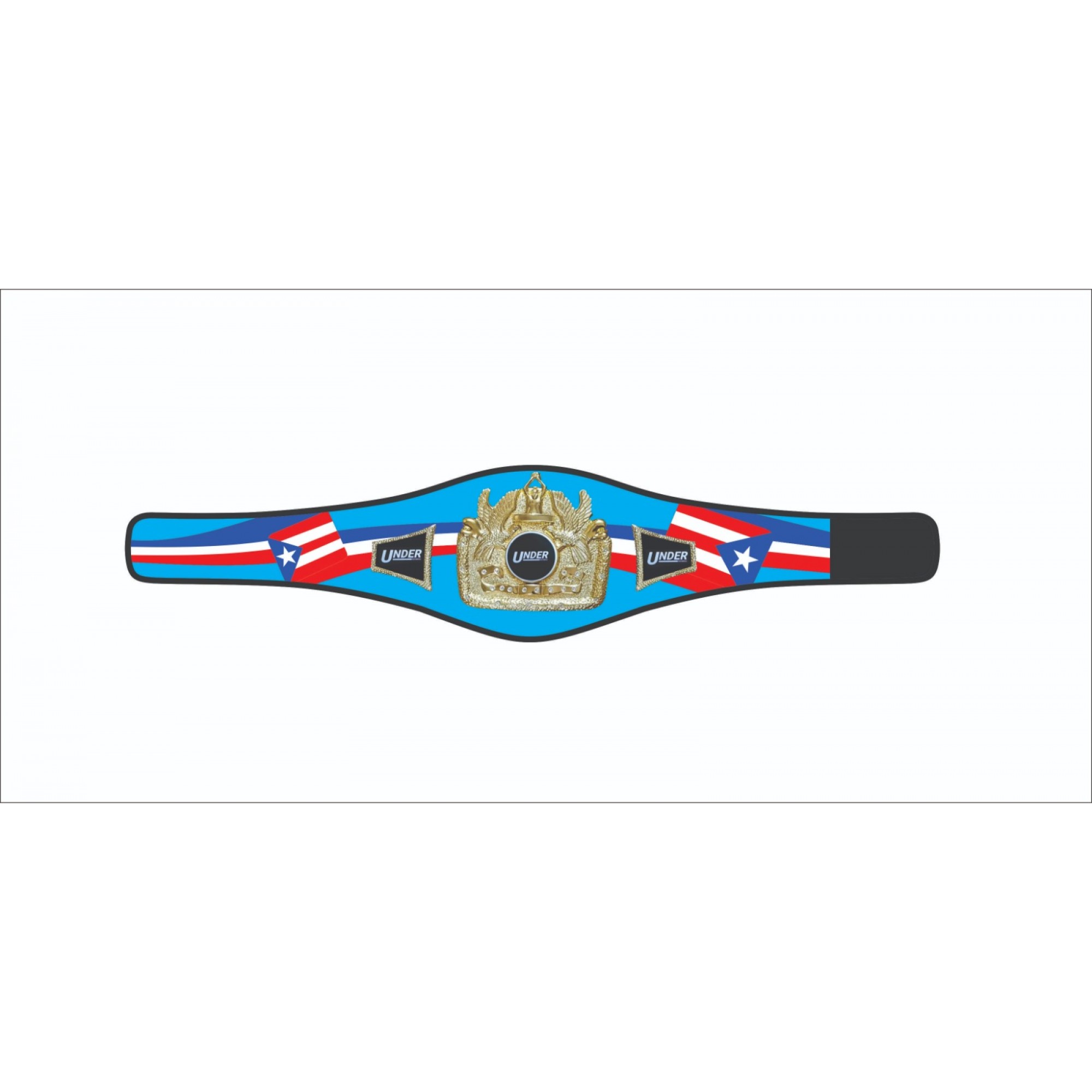 Championship Belts