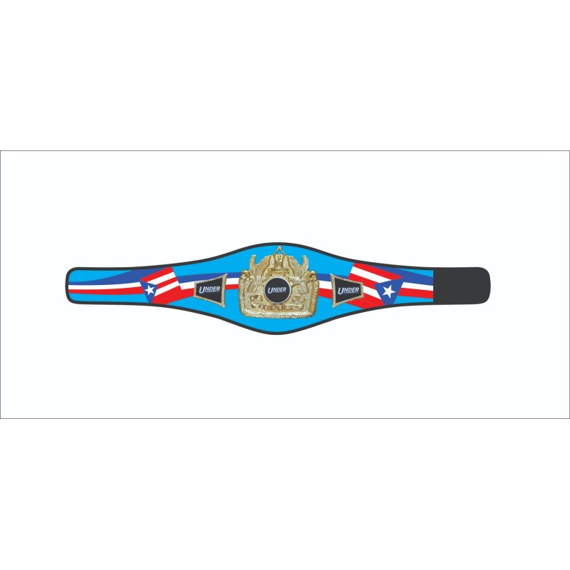 Championship Belts