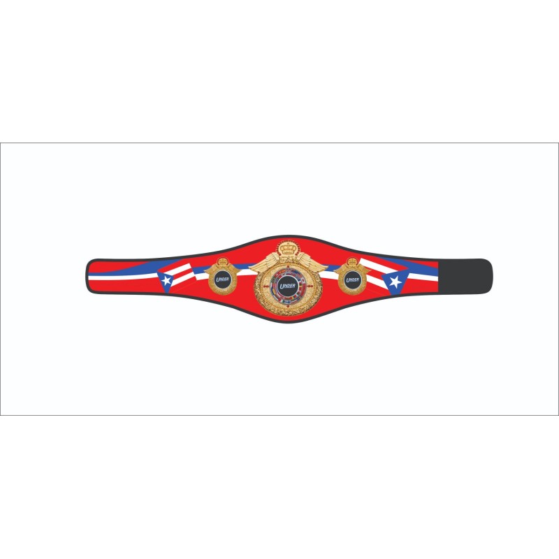 Championship Belts